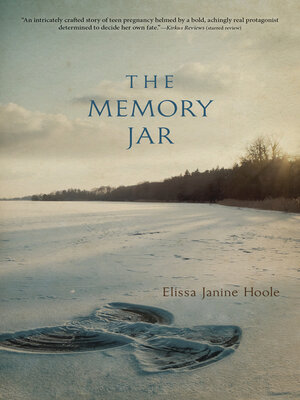 cover image of The Memory Jar